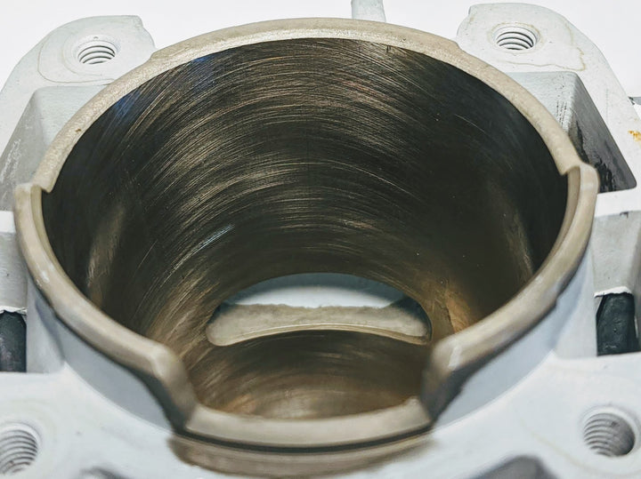 The Duke's Nikasil Piston, Cylinder, Gasket and Bearing Set Fits Stihl TS410, TS420