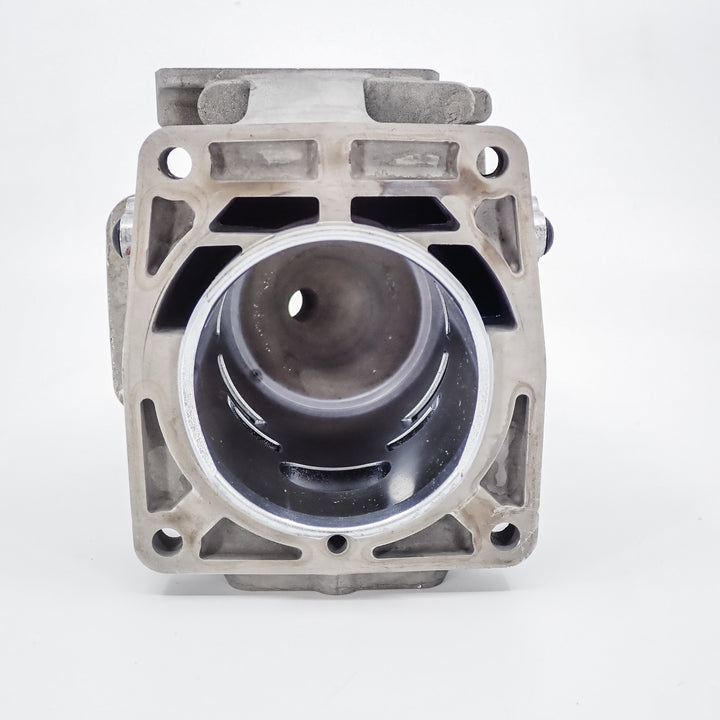 GENUINE ECHO PISTON AND CYLINDER FITS PB-8010 PB-9010 PB-7910 P100012460 P100006300