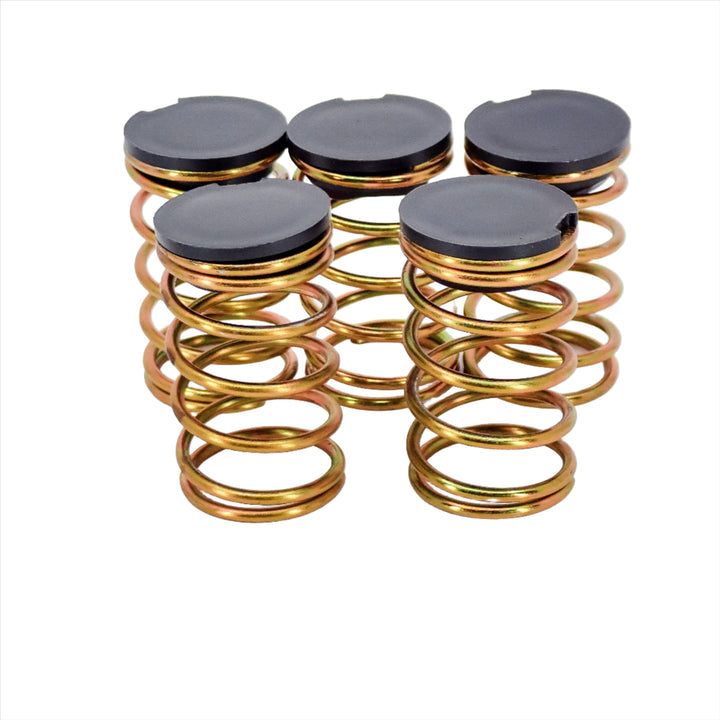 5 - PACK GENUINE OEM ECHO SPRING AND CAP V494000840 + V450001880