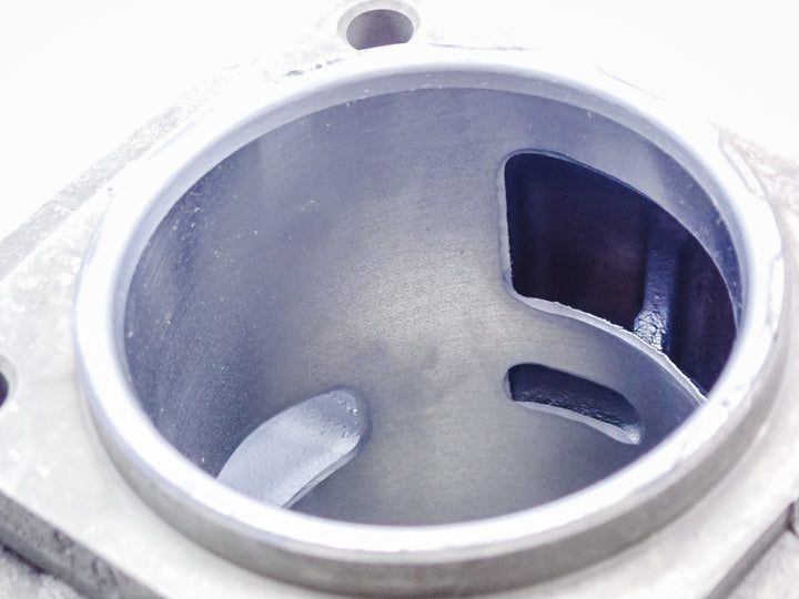 GENUINE ECHO CYLINDER FITS CS-800P CS-8000 QV-8000 P021005410