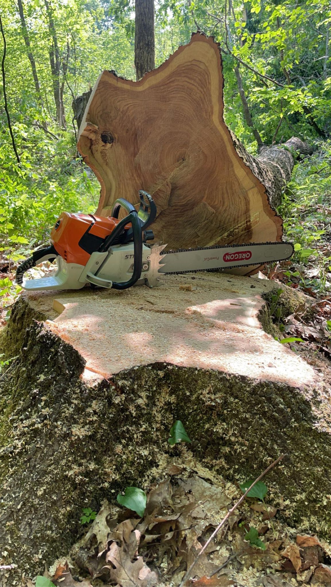 THE DUKE'S WEST COAST FULL WRAP HANDLE BAR FITS STIHL MS661 - Saw