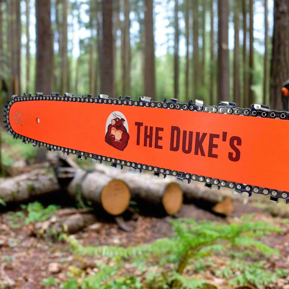 THE DUKE'S CHAIN AND BARS - Saw Salvage