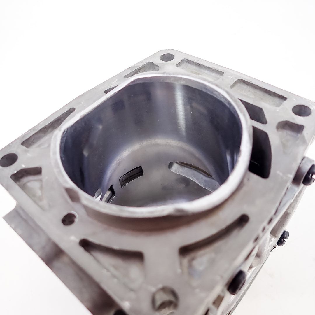 DUKE'S PISTON AND CYLINDER KIT FITS ECHO PB-8010, PB-9010, PB-7910 P100012460 P100006300