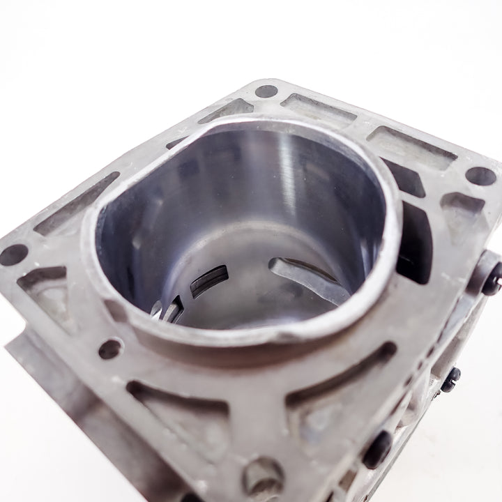 DUKE'S PISTON AND CYLINDER KIT FITS ECHO PB-8010, PB-9010, PB-7910 P100012460 P100006300