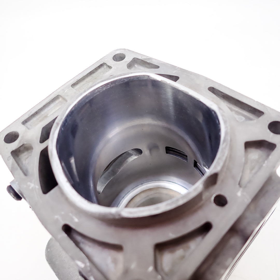 DUKE'S PISTON AND CYLINDER KIT FITS ECHO PB-8010, PB-9010, PB-7910 P100012460 P100006300