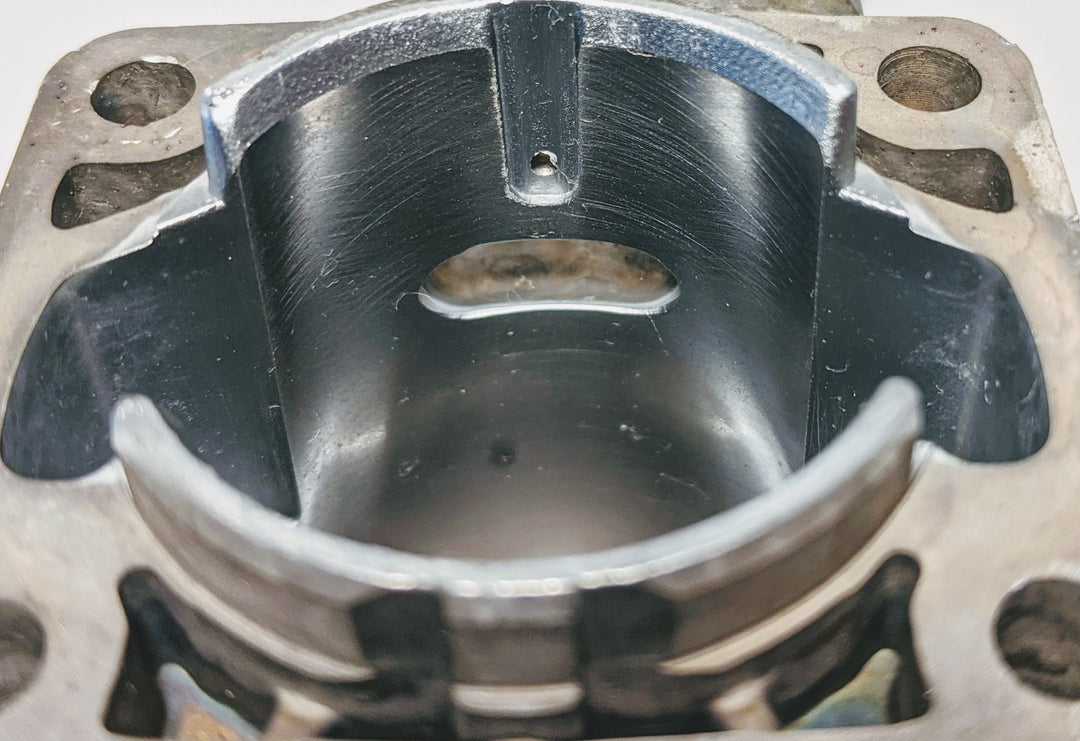THE DUKE'S ECHO SRM-260 PB-260 SRM-261 PB-261 AND OTHERS PISTON AND CYLINDER KIT