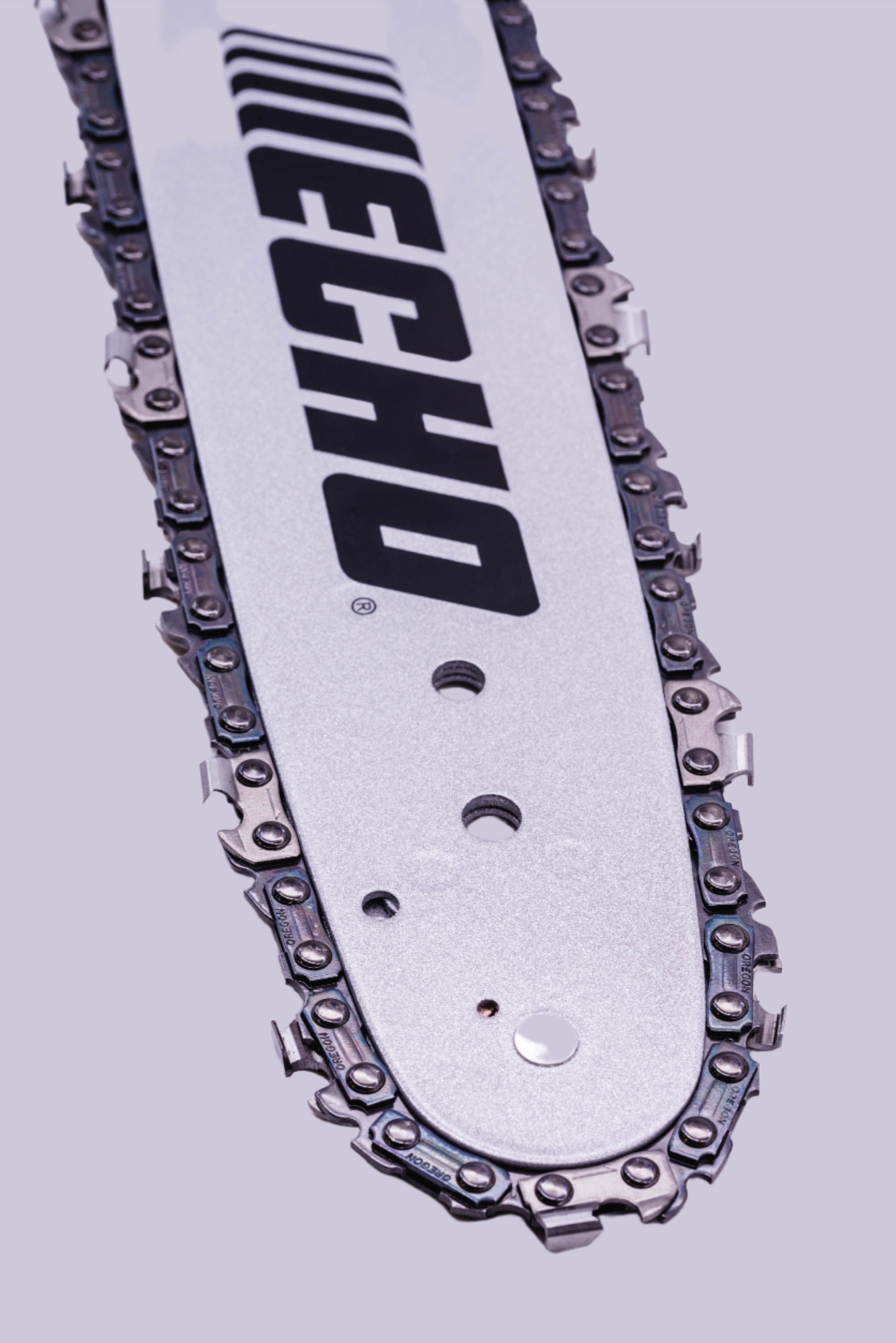 ECHO 12
